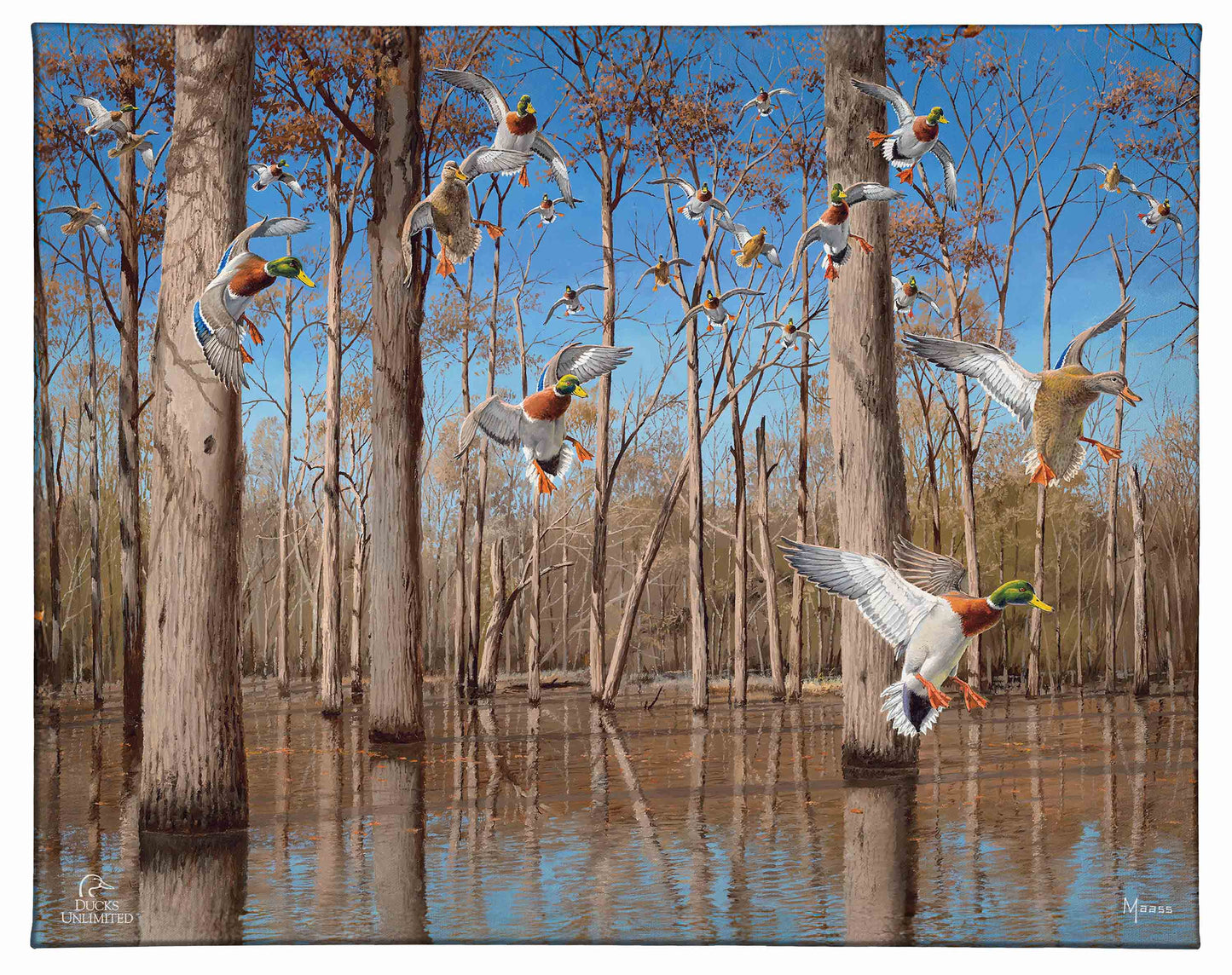 Down from the North - Mallards Gallery Wrapped Canvas - Official Ducks Unlimited Art