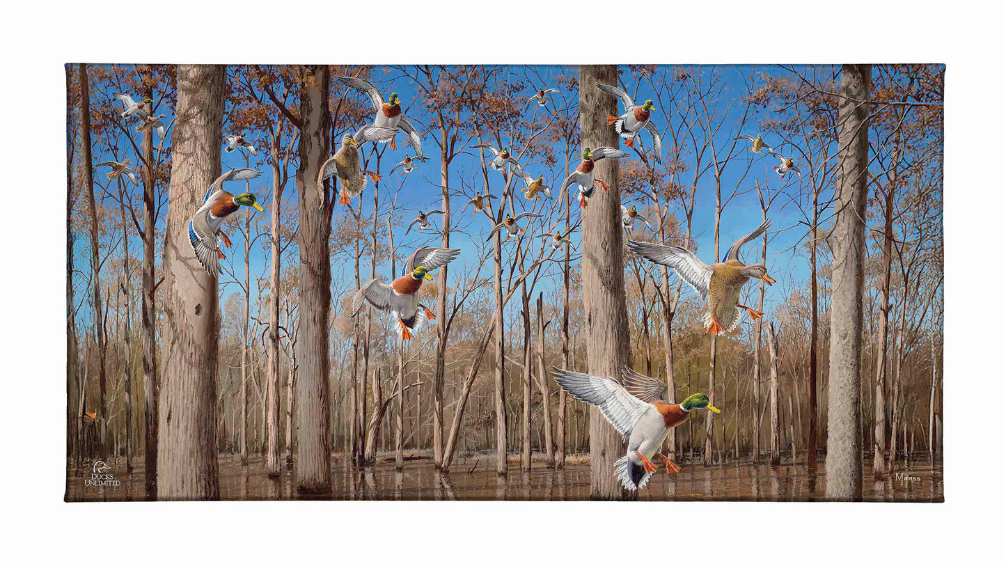 Down from the North - Mallards Gallery Wrapped Canvas - Official Ducks Unlimited Art