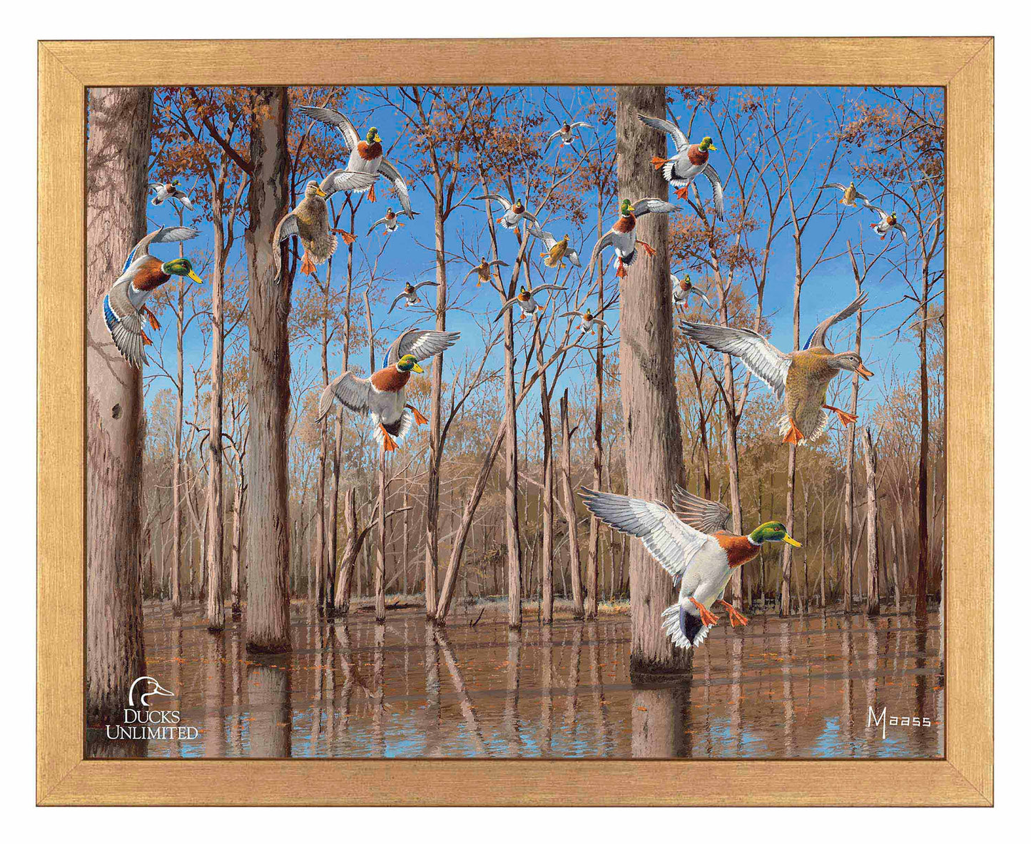 Down from the North - Mallards Art Prints - Official Ducks Unlimited Art