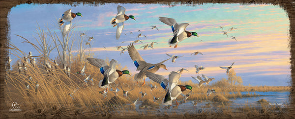 Dropping in Mallards 12" x 30" Wood Sign - Official Ducks Unlimited Art