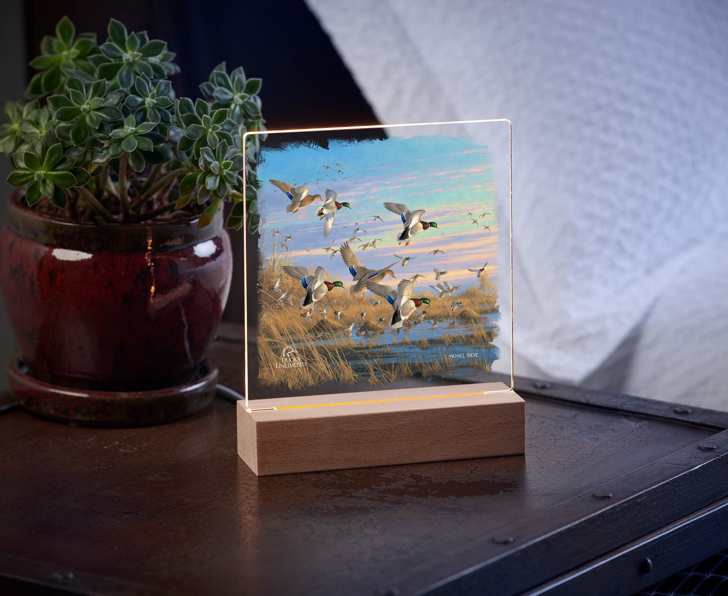 Dropping in Mallards 6.37" x 6" Acrylic Nightlight - Official Ducks Unlimited Art