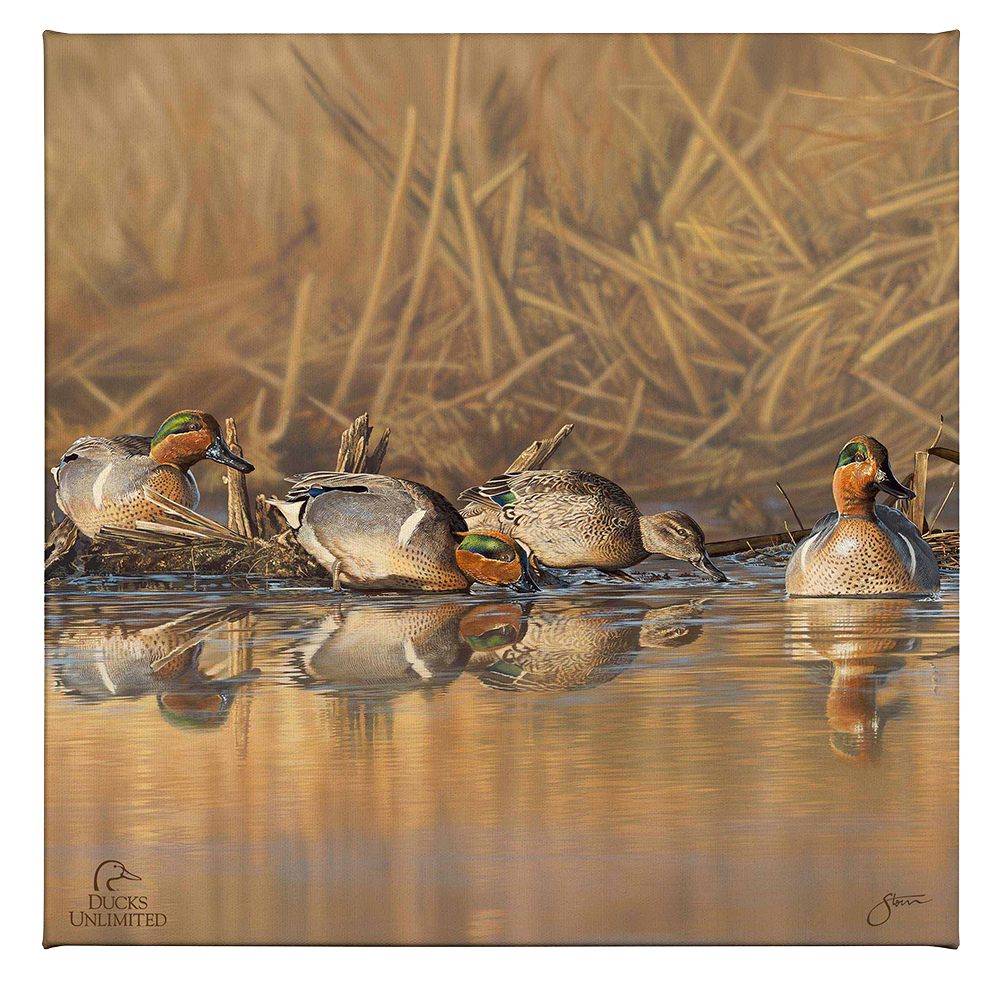 Emerald Waters Gallery Wrapped Canvas - Official Ducks Unlimited Art