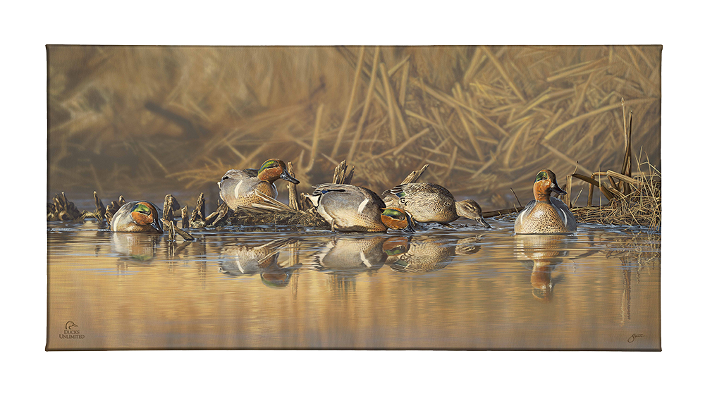 Emerald Waters Gallery Wrapped Canvas - Official Ducks Unlimited Art