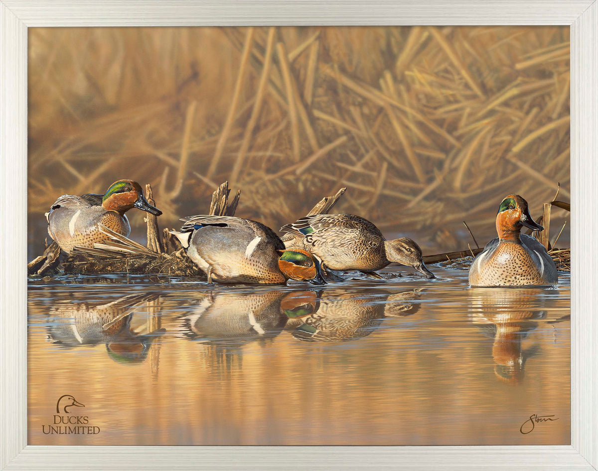 Emerald Waters Art Prints - Official Ducks Unlimited Art