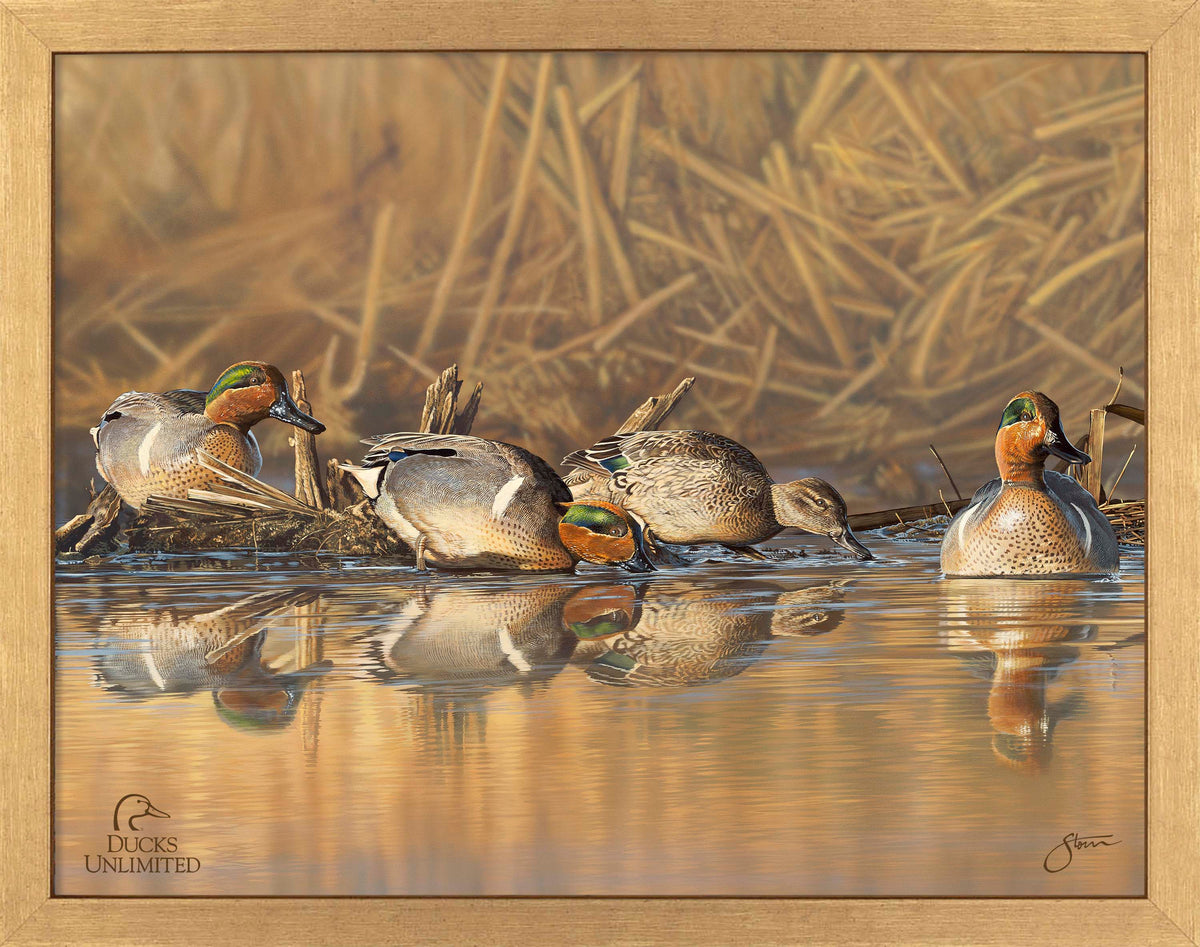 Emerald Waters Art Prints - Official Ducks Unlimited Art