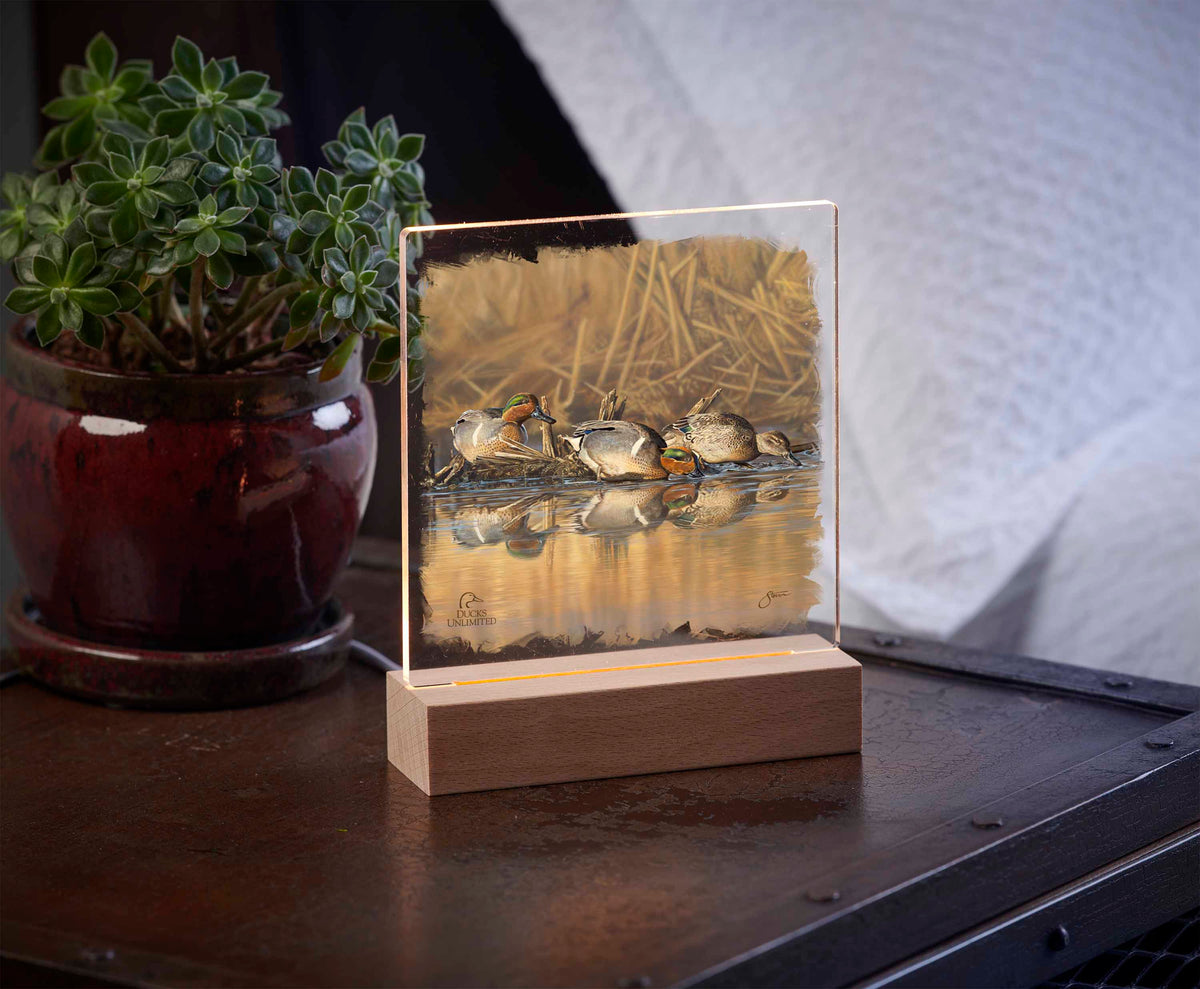 Emerald Waters - Green Wing Teal 6.37" x 6" Acrylic Night Light - Official Ducks Unlimited Art
