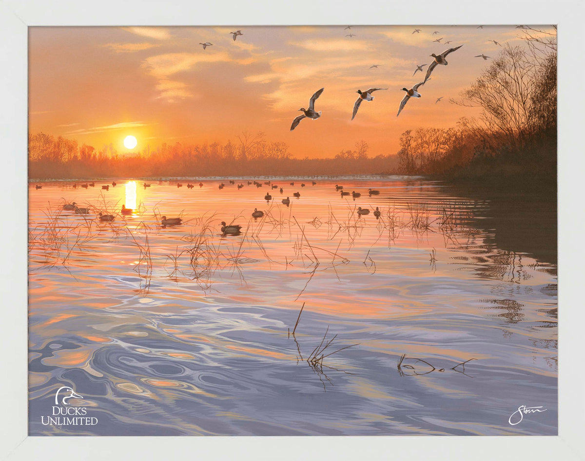 End of a Great Day Art Prints - Official Ducks Unlimited Art