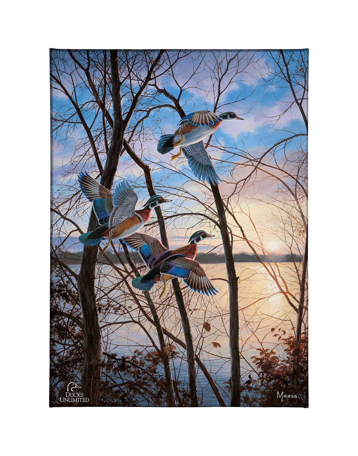 Evening Flight - Wood Ducks Gallery Wrapped Canvas - Official Ducks Unlimited Art