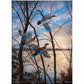 Evening Flight - Wood Ducks Gallery Wrapped Canvas - Official Ducks Unlimited Art