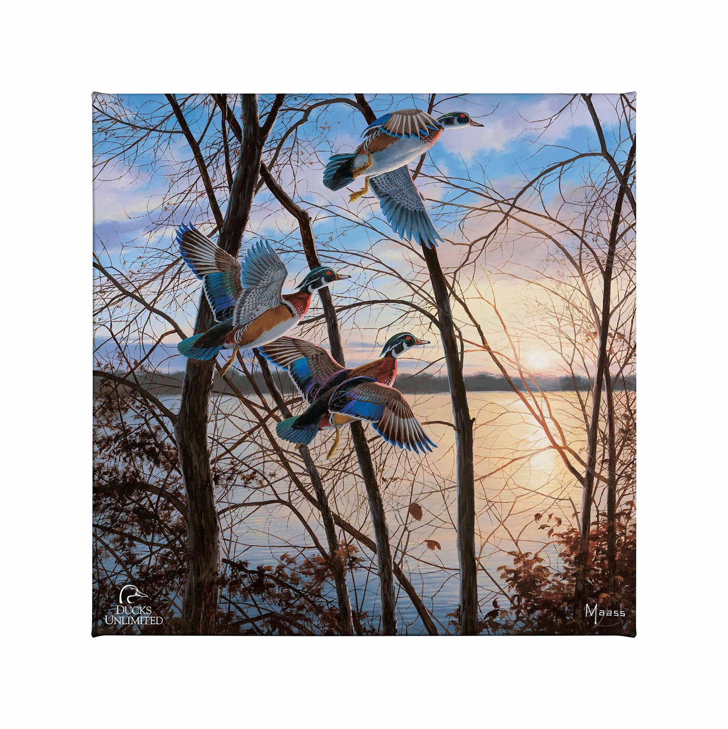 Evening Flight - Wood Ducks Gallery Wrapped Canvas - Official Ducks Unlimited Art