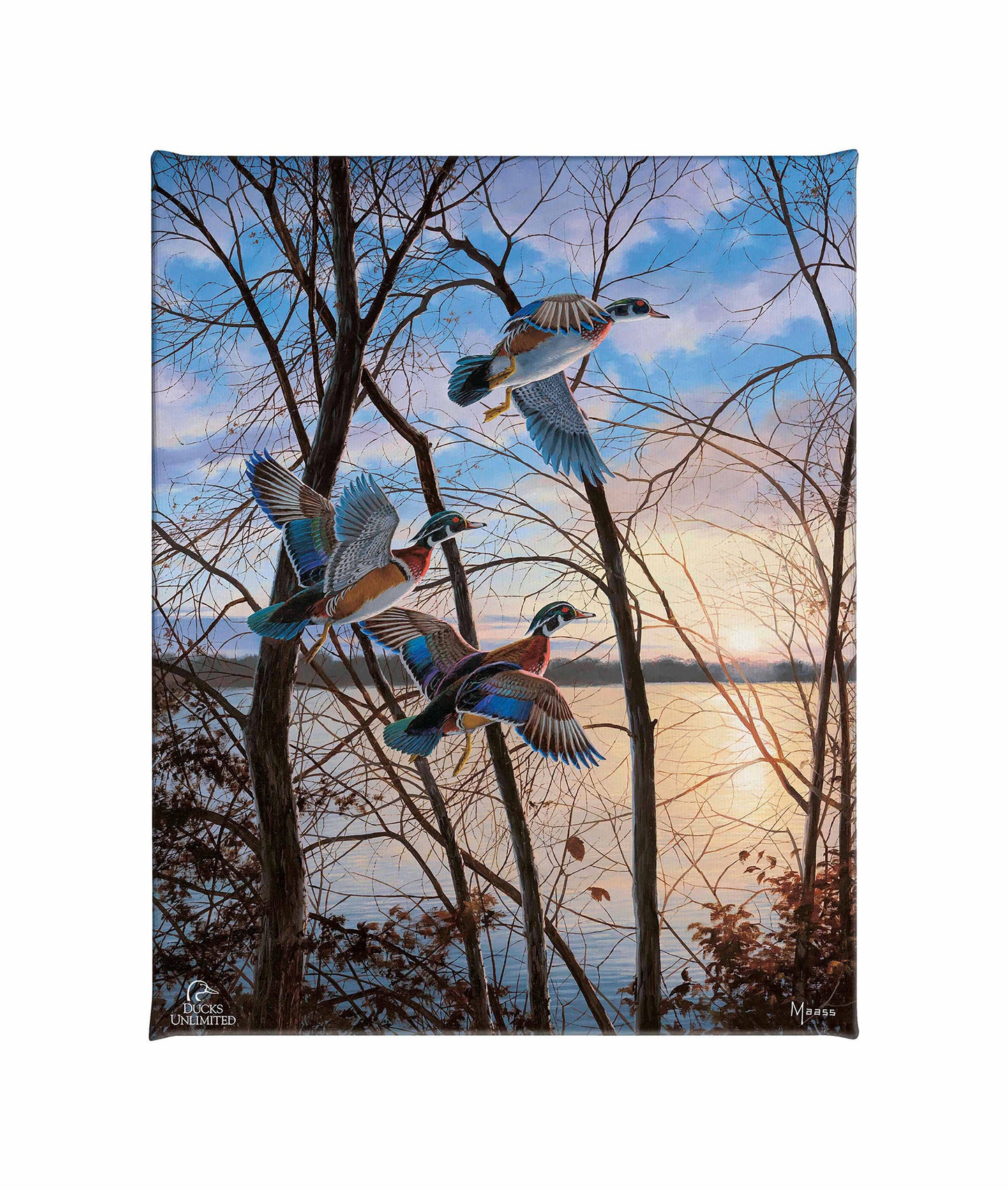Evening Flight - Wood Ducks Gallery Wrapped Canvas - Official Ducks Unlimited Art