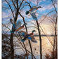 Evening Flight - Wood Ducks Gallery Wrapped Canvas - Official Ducks Unlimited Art