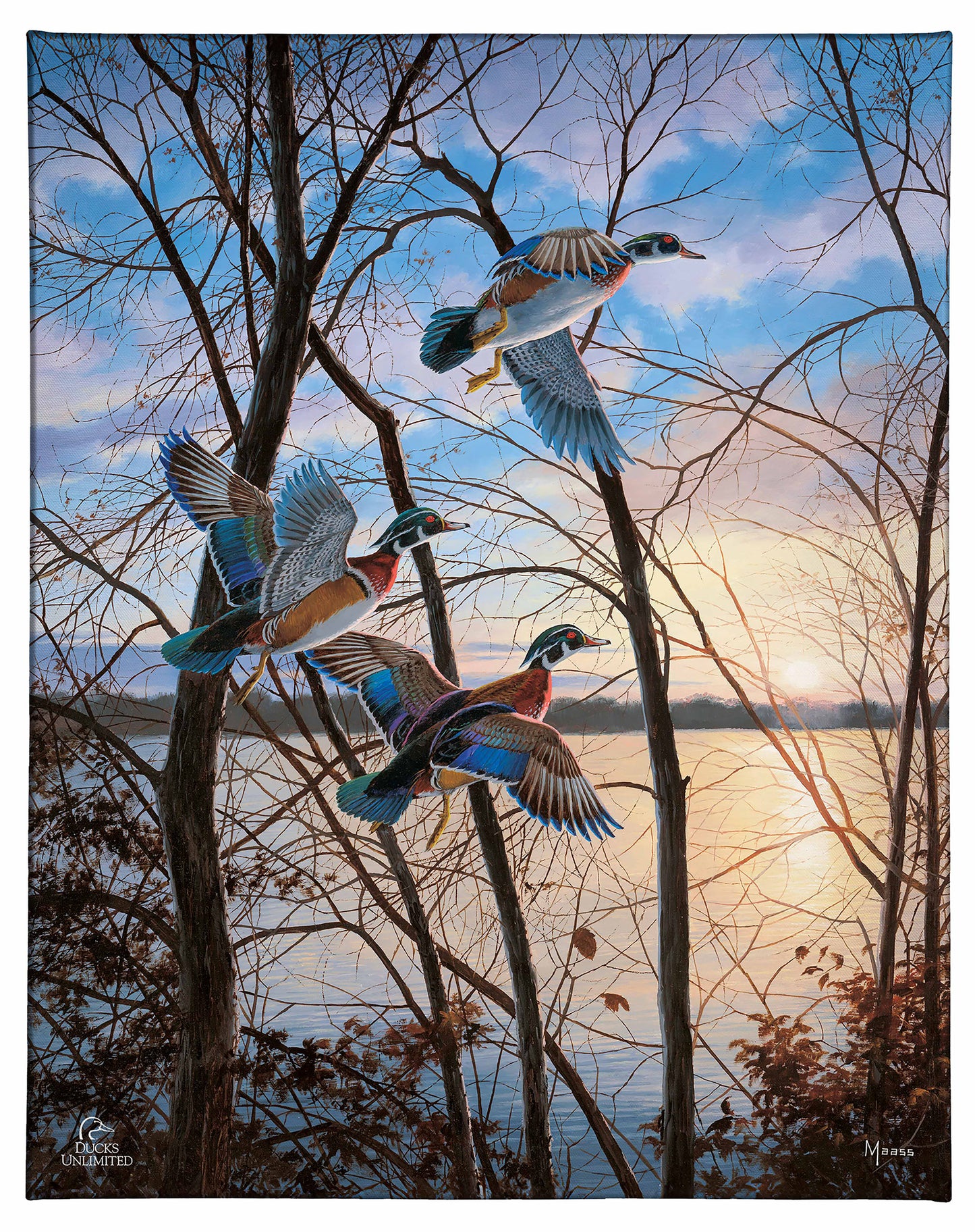 Evening Flight - Wood Ducks Gallery Wrapped Canvas - Official Ducks Unlimited Art