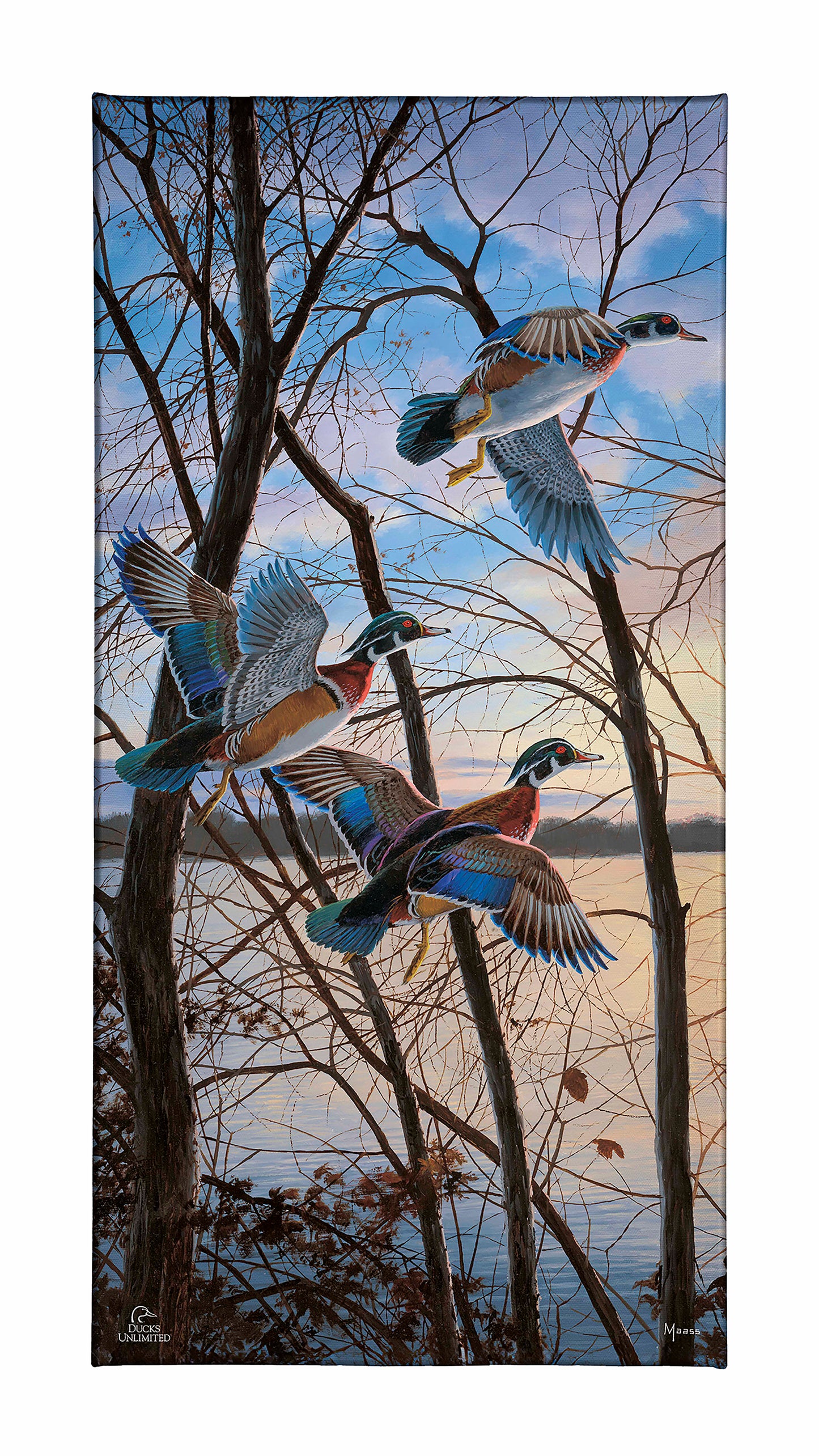 Evening Flight - Wood Ducks Gallery Wrapped Canvas - Official Ducks Unlimited Art