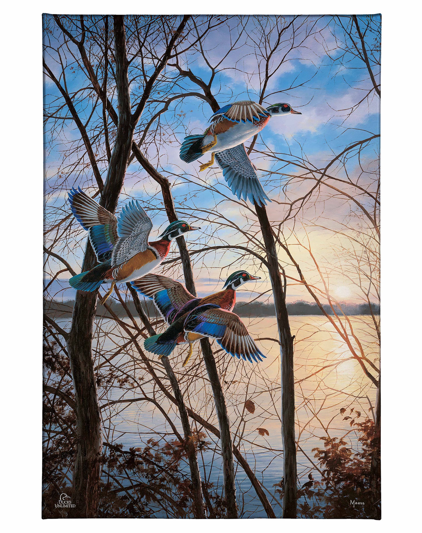 Evening Flight - Wood Ducks Gallery Wrapped Canvas - Official Ducks Unlimited Art