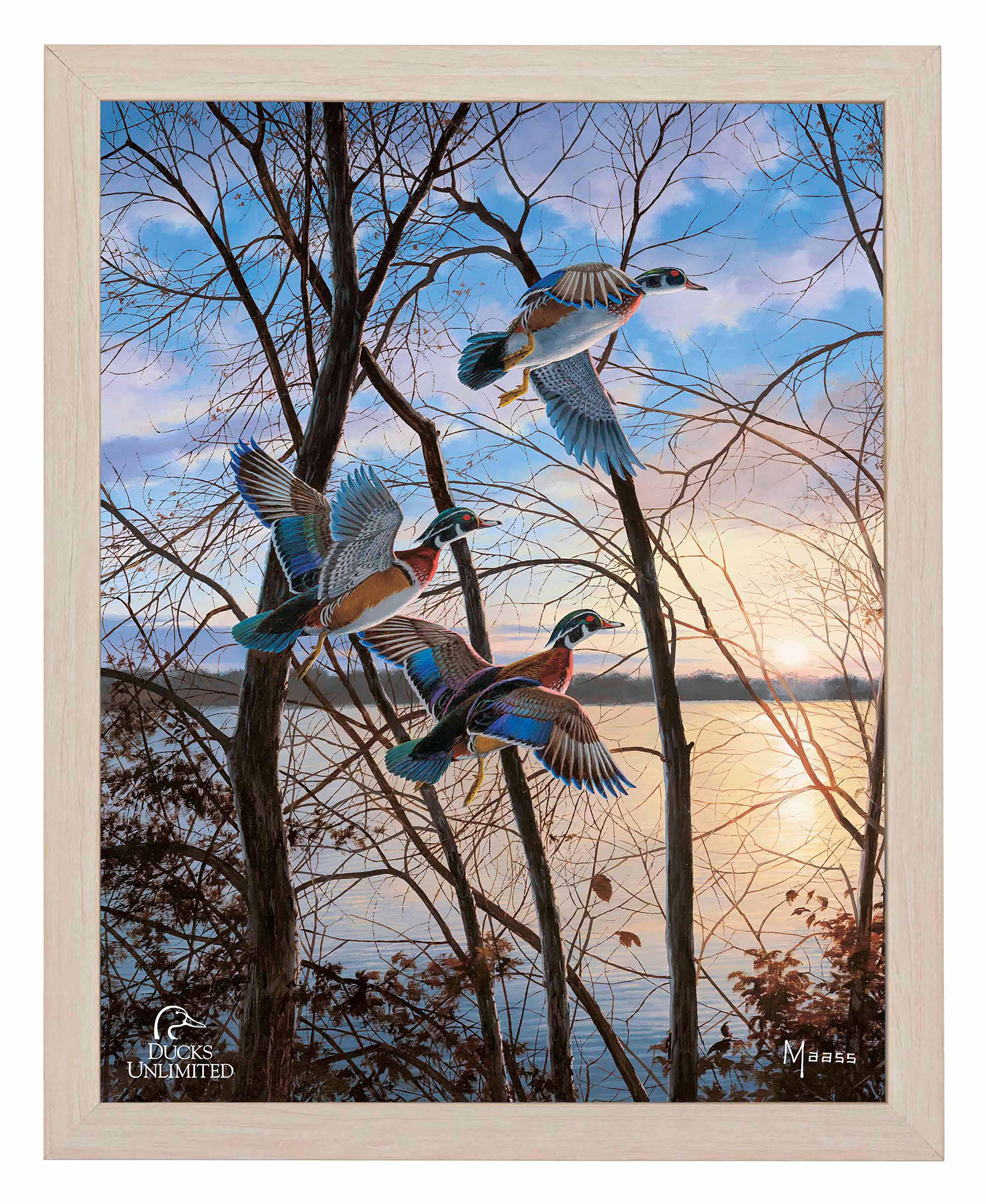 Evening Flight Wood Ducks Art Prints - Official Ducks Unlimited