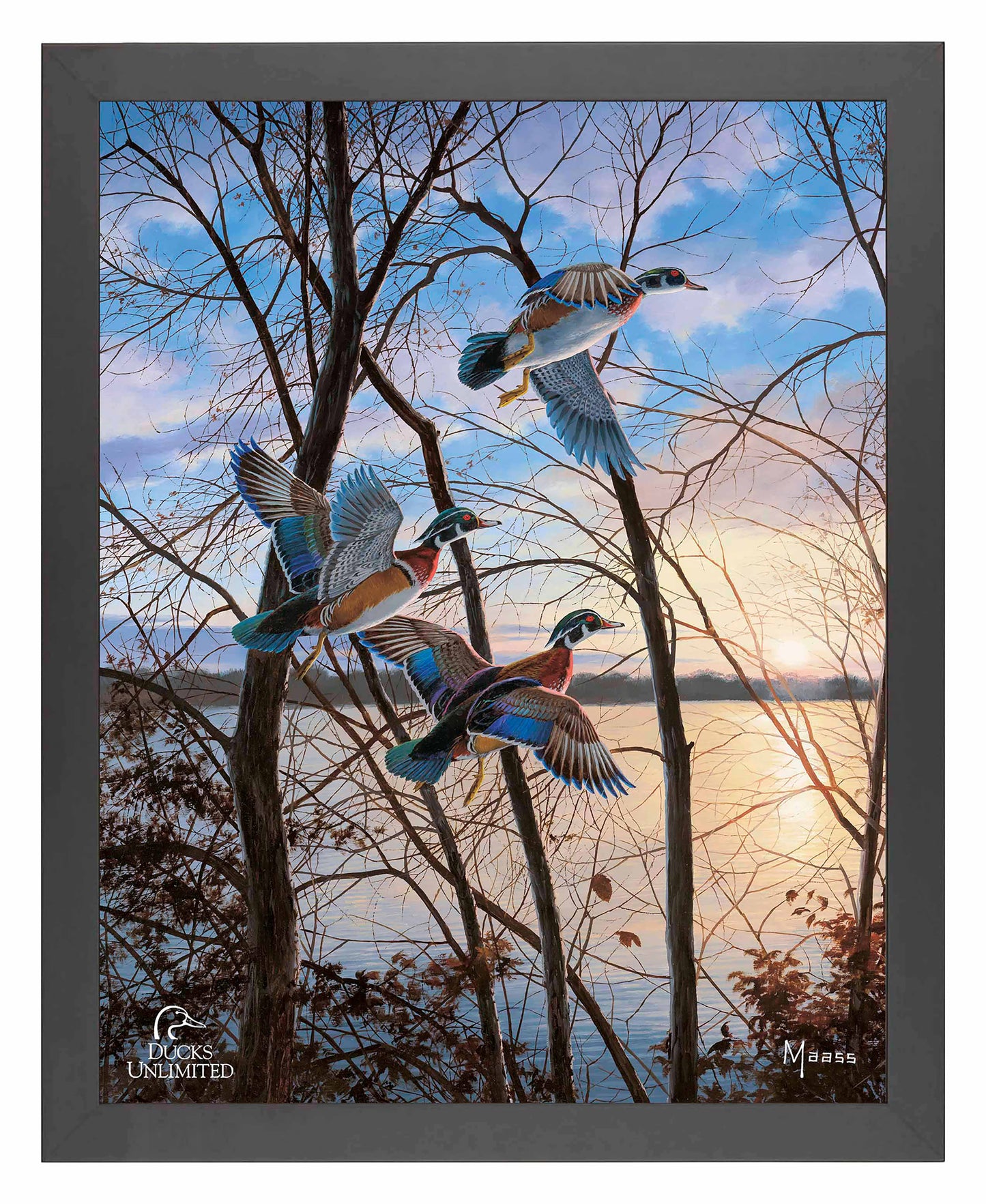 Evening Flight Wood Ducks Art Prints - Official Ducks Unlimited Art