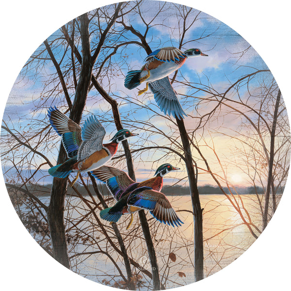 Evening Flight  Wood Ducks 21" Round Wood Sign - Official Ducks Unlimited Art