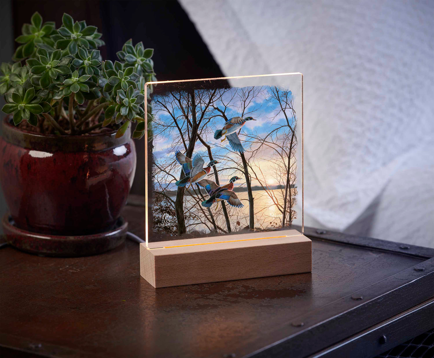 Evening Flight  Wood Ducks 6.37" x 6" Acrylic Nightlight - Official Ducks Unlimited Art