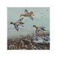 Finding Open Water - Mallards Gallery Wrapped Canvas - Official Ducks Unlimited Art