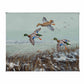 Finding Open Water - Mallards Gallery Wrapped Canvas - Official Ducks Unlimited Art