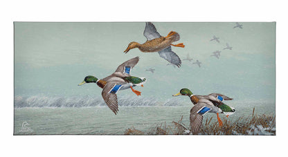 Finding Open Water - Mallards Gallery Wrapped Canvas - Official Ducks Unlimited Art
