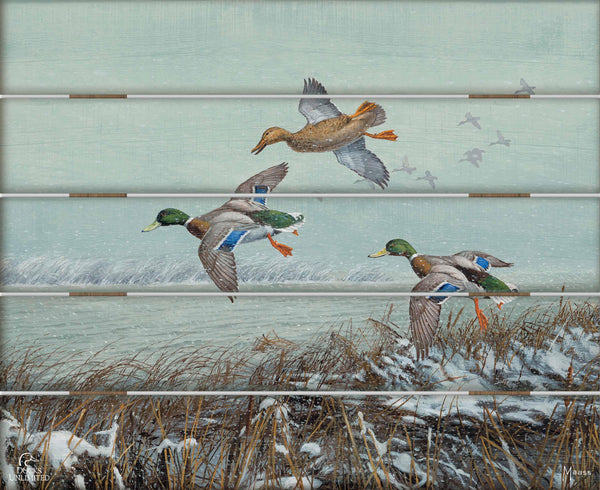 Finding Open Water Mallards 18" x 22" Pallet Wall Art - Official Ducks Unlimited Art