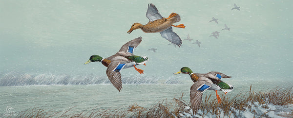 Finding Open Water Mallards 12" x 30" Wood Sign - Official Ducks Unlimited Art