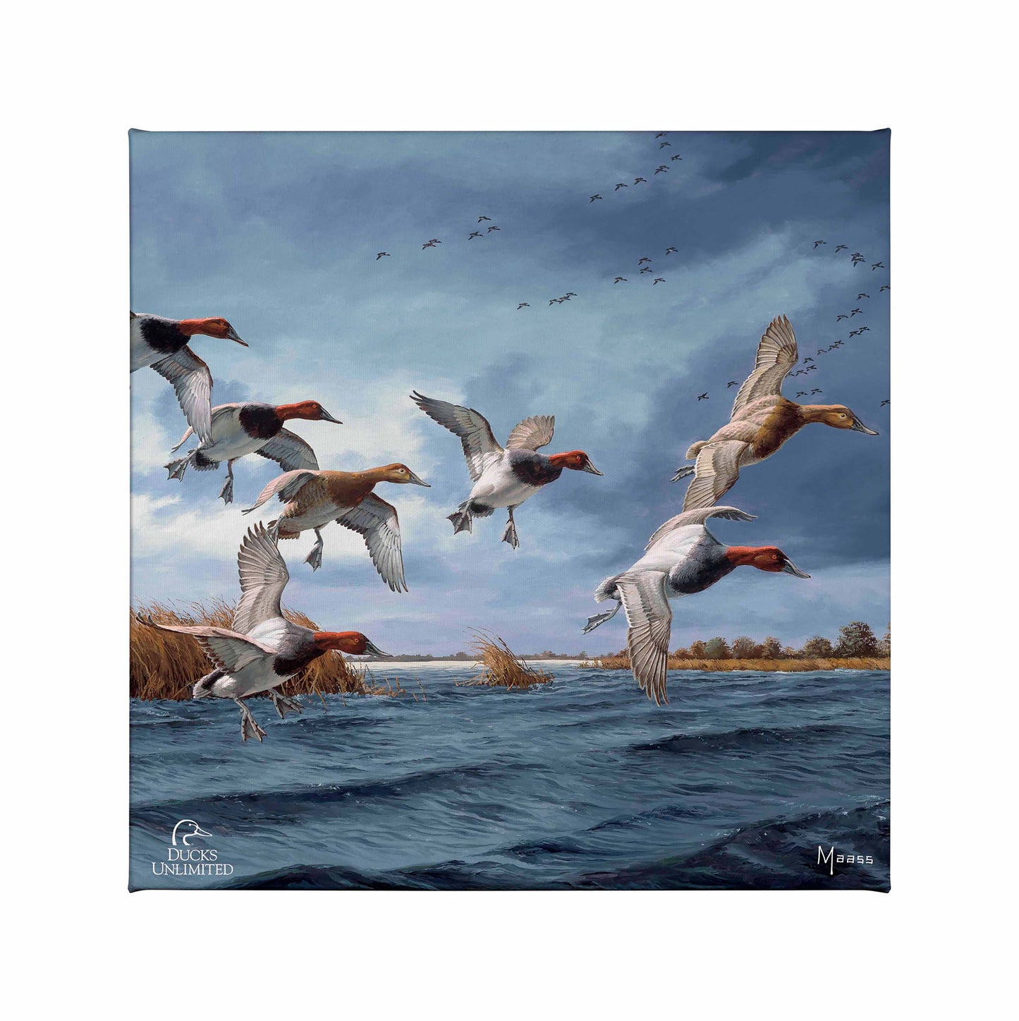 Fruits of Your Labor - Canvasbacks Gallery Wrapped Canvas - Official Ducks Unlimited Art
