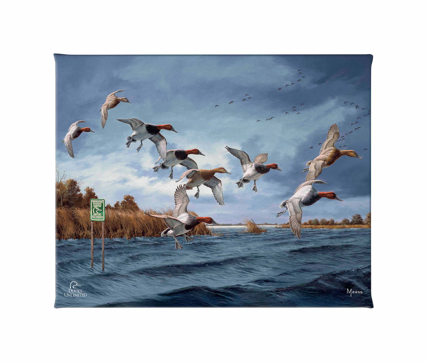 Fruits of Your Labor - Canvasbacks Gallery Wrapped Canvas - Official Ducks Unlimited Art