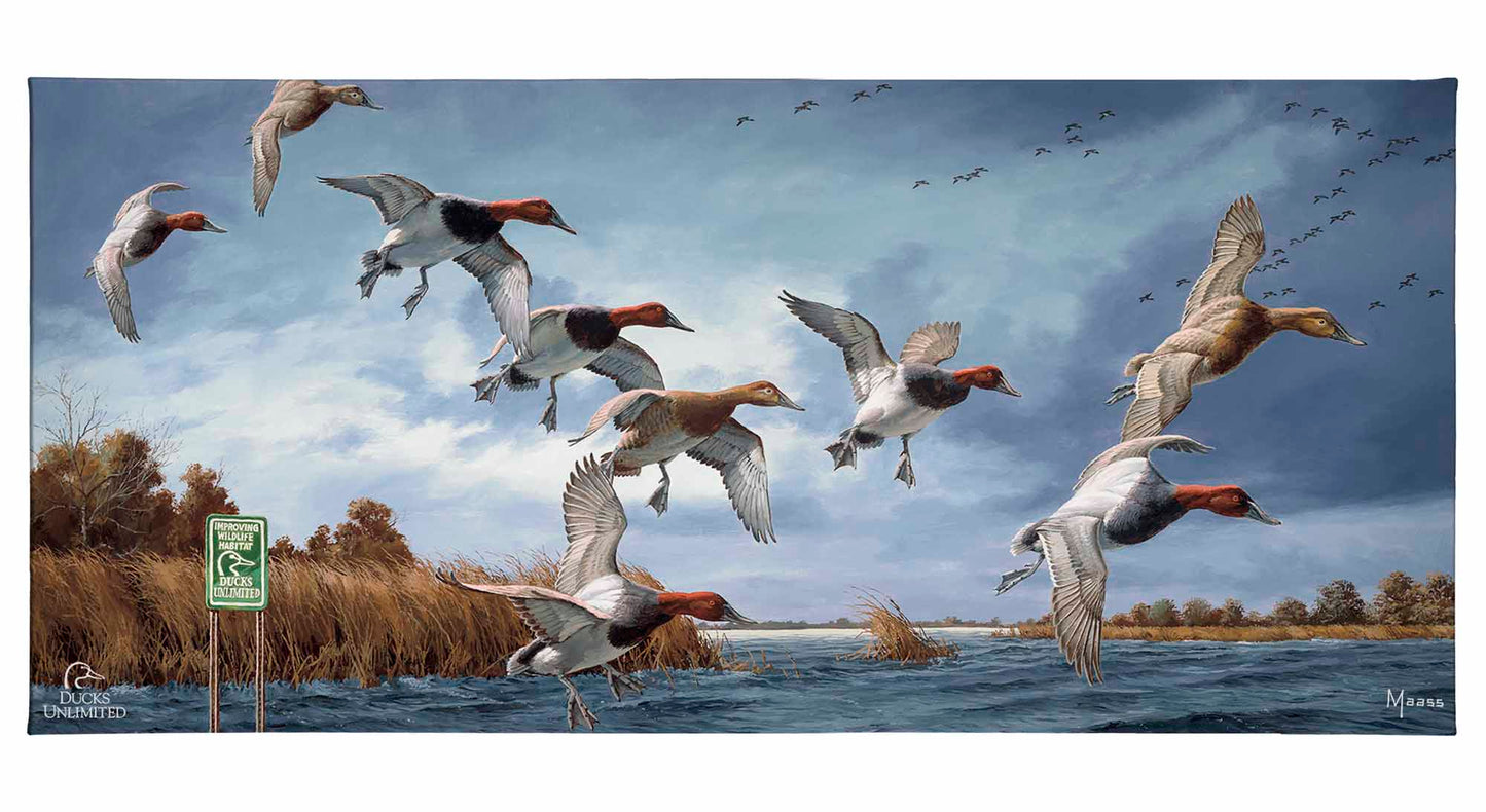 Fruits of Your Labor - Canvasbacks Gallery Wrapped Canvas - Official Ducks Unlimited Art