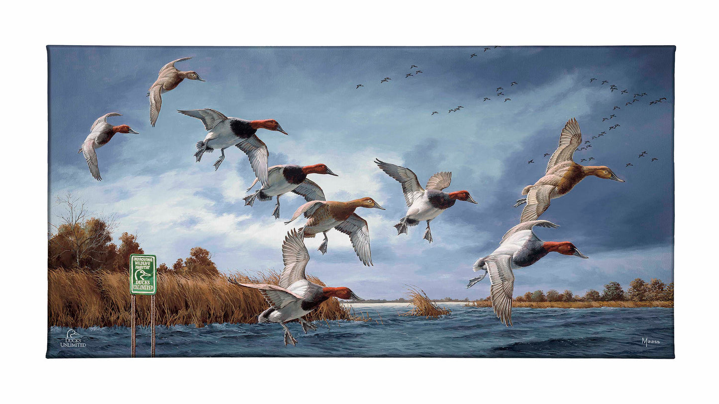 Fruits of Your Labor - Canvasbacks Gallery Wrapped Canvas - Official Ducks Unlimited Art