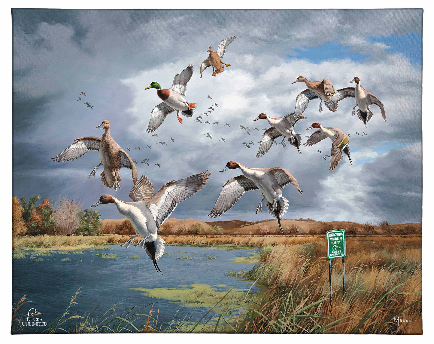Fruits of Your Labor - Pintails and Mallards Gallery Wrapped Canvas - Official Ducks Unlimited Art