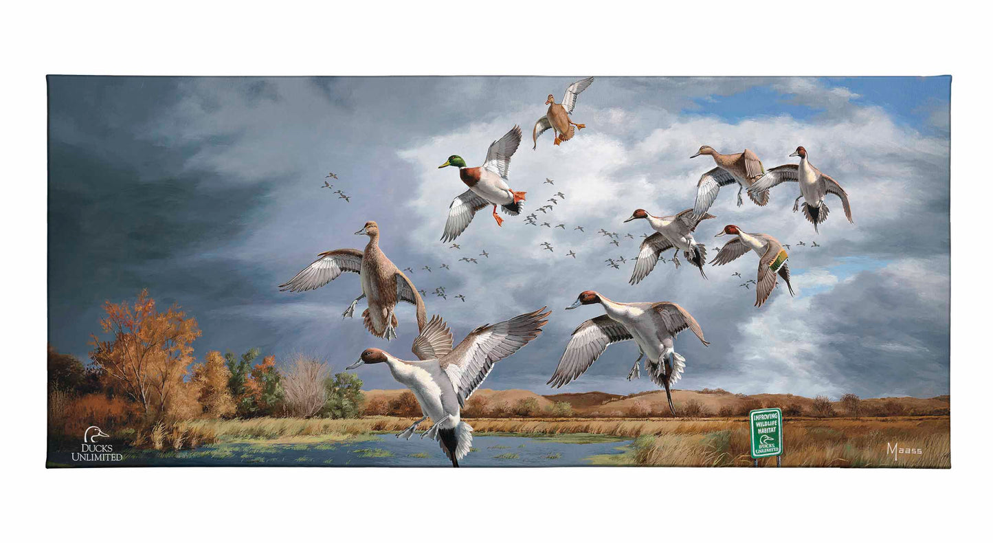 Fruits of Your Labor - Pintails and Mallards Gallery Wrapped Canvas - Official Ducks Unlimited Art
