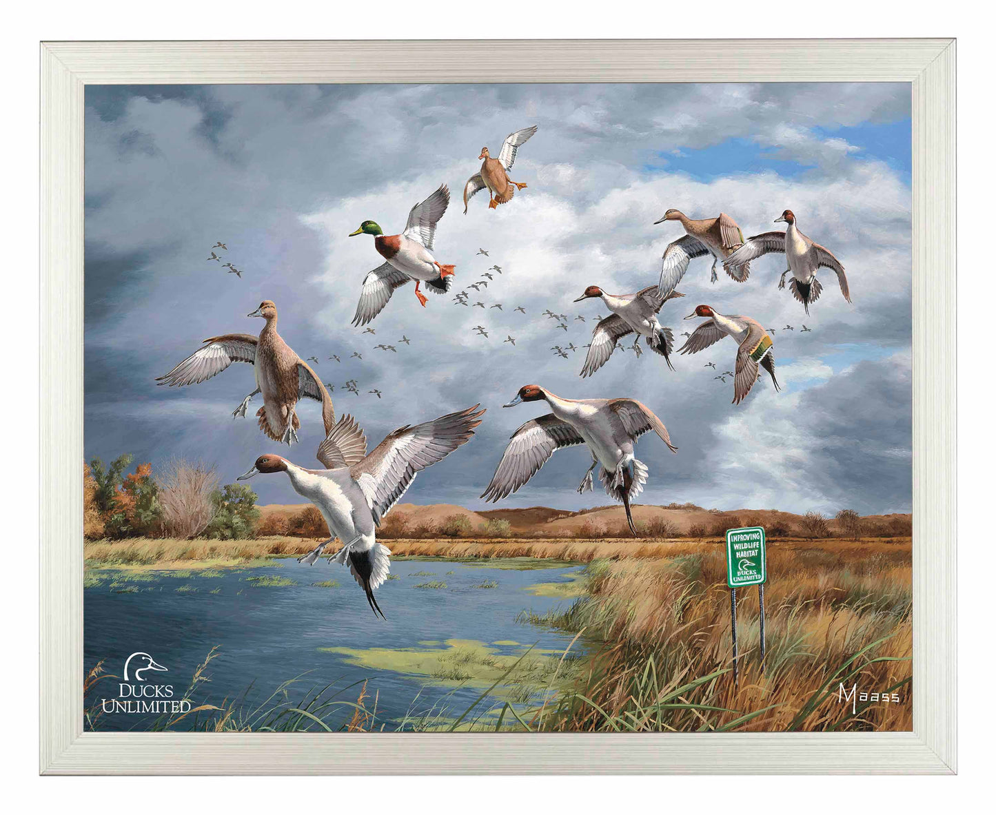 Fruits of Your Labor Pintails and Mallards Art Prints - Official Ducks Unlimited Art