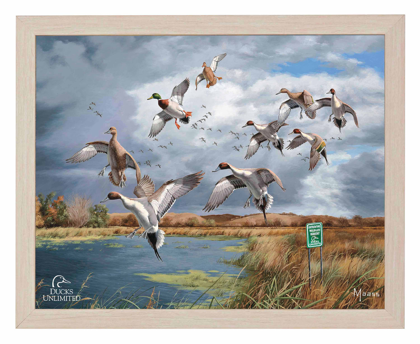 Fruits of Your Labor Pintails and Mallards Art Prints - Official Ducks Unlimited Art