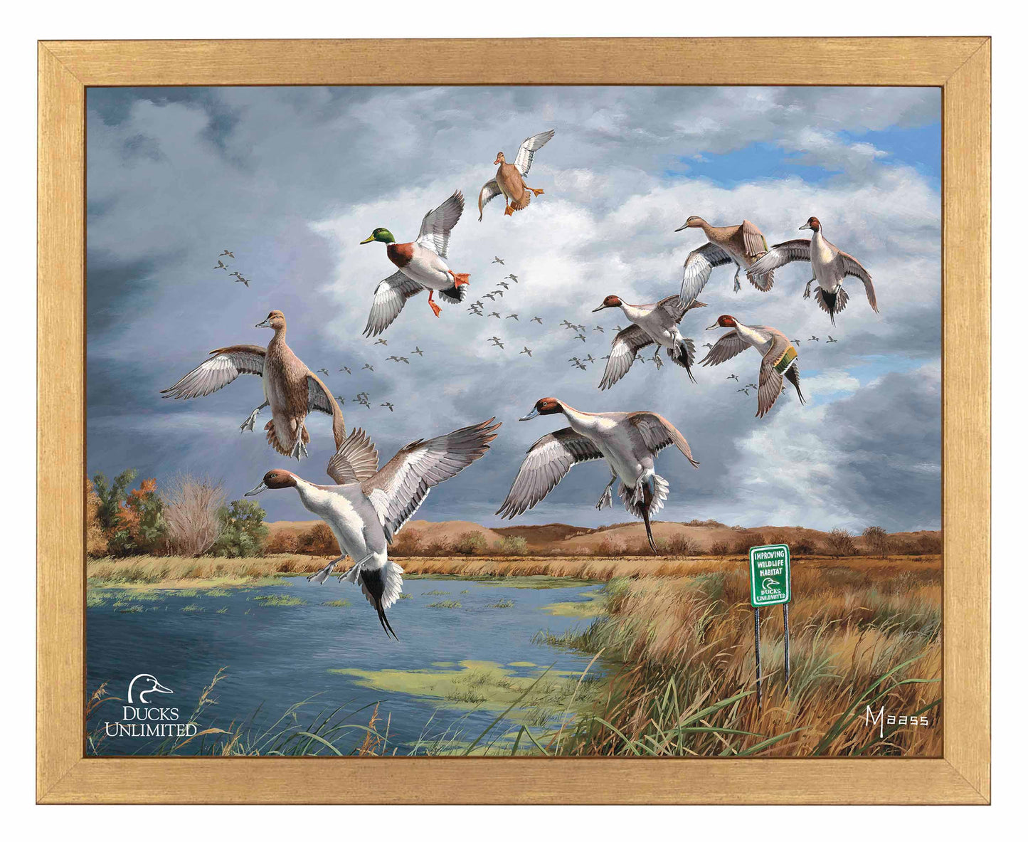 Fruits of Your Labor Pintails and Mallards Art Prints - Official Ducks Unlimited Art
