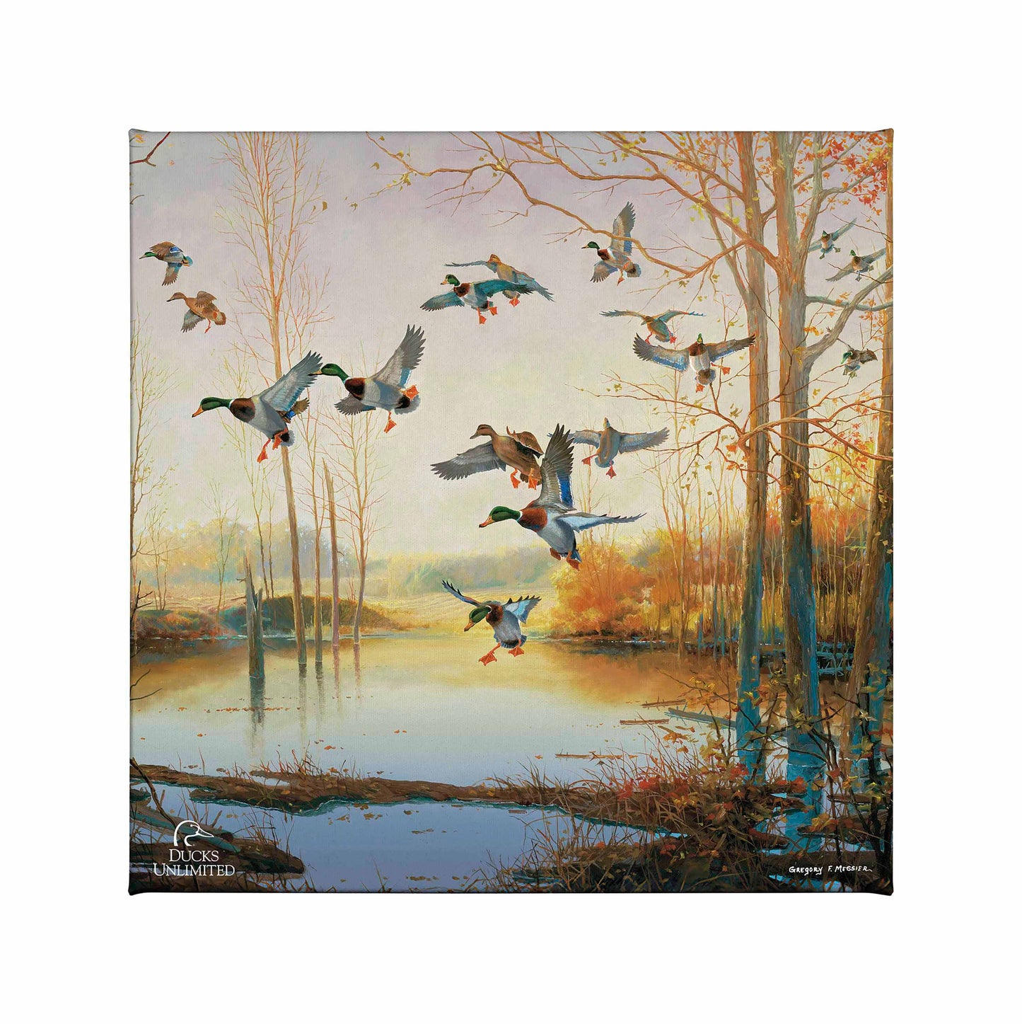 Graceful Descent Gallery Wrapped Canvas - Official Ducks Unlimited Art
