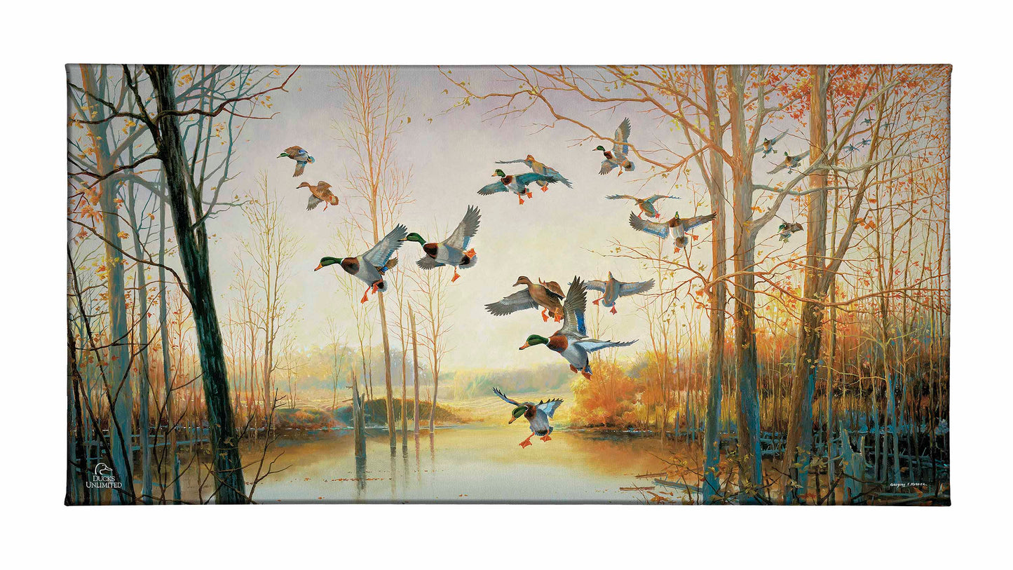 Graceful Descent Gallery Wrapped Canvas - Official Ducks Unlimited Art