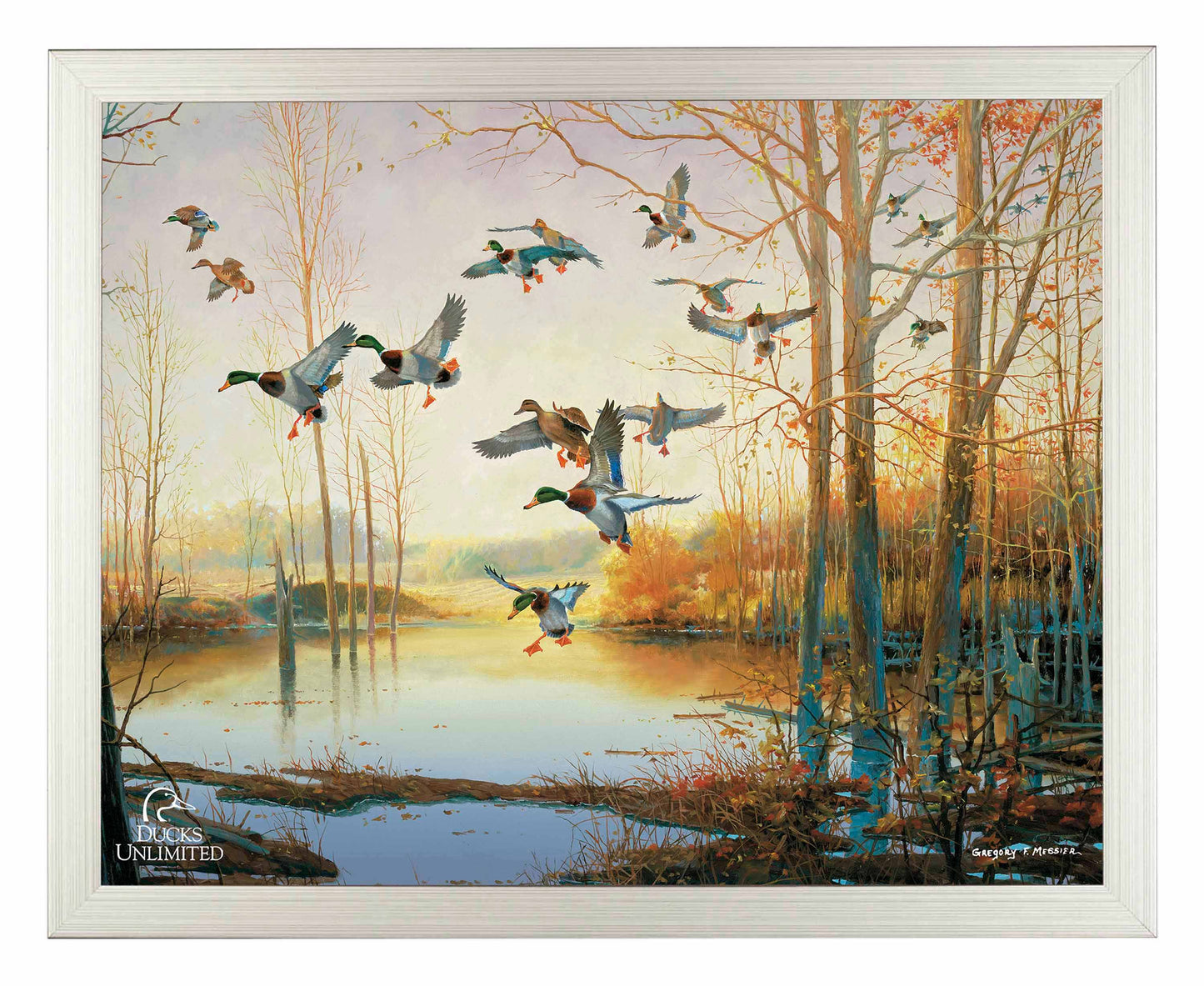 Graceful Descent Art Prints - Official Ducks Unlimited Art