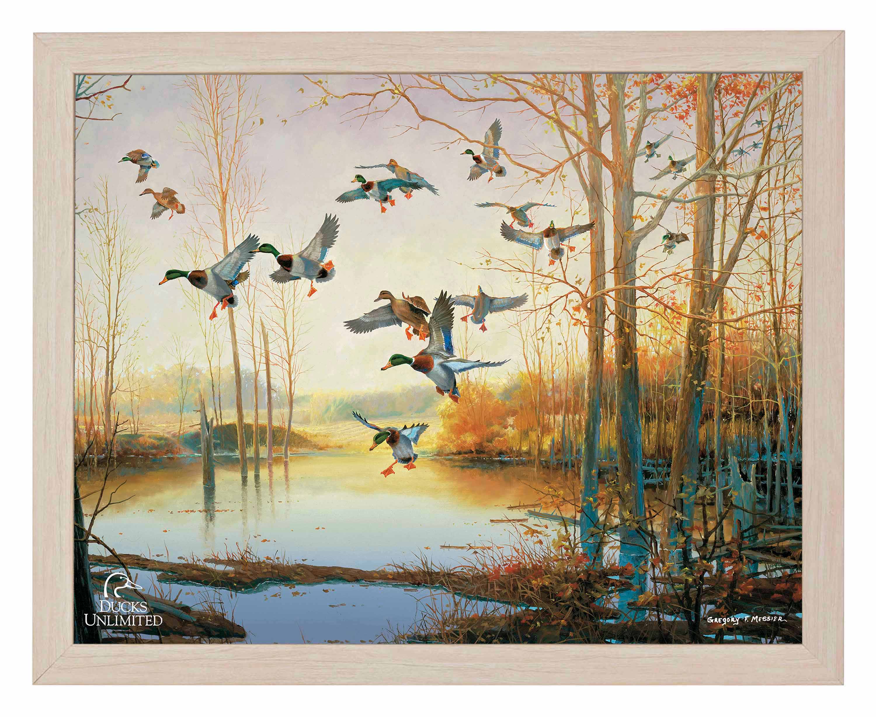 Graceful Descent Art Prints - Official Ducks Unlimited Art Art
