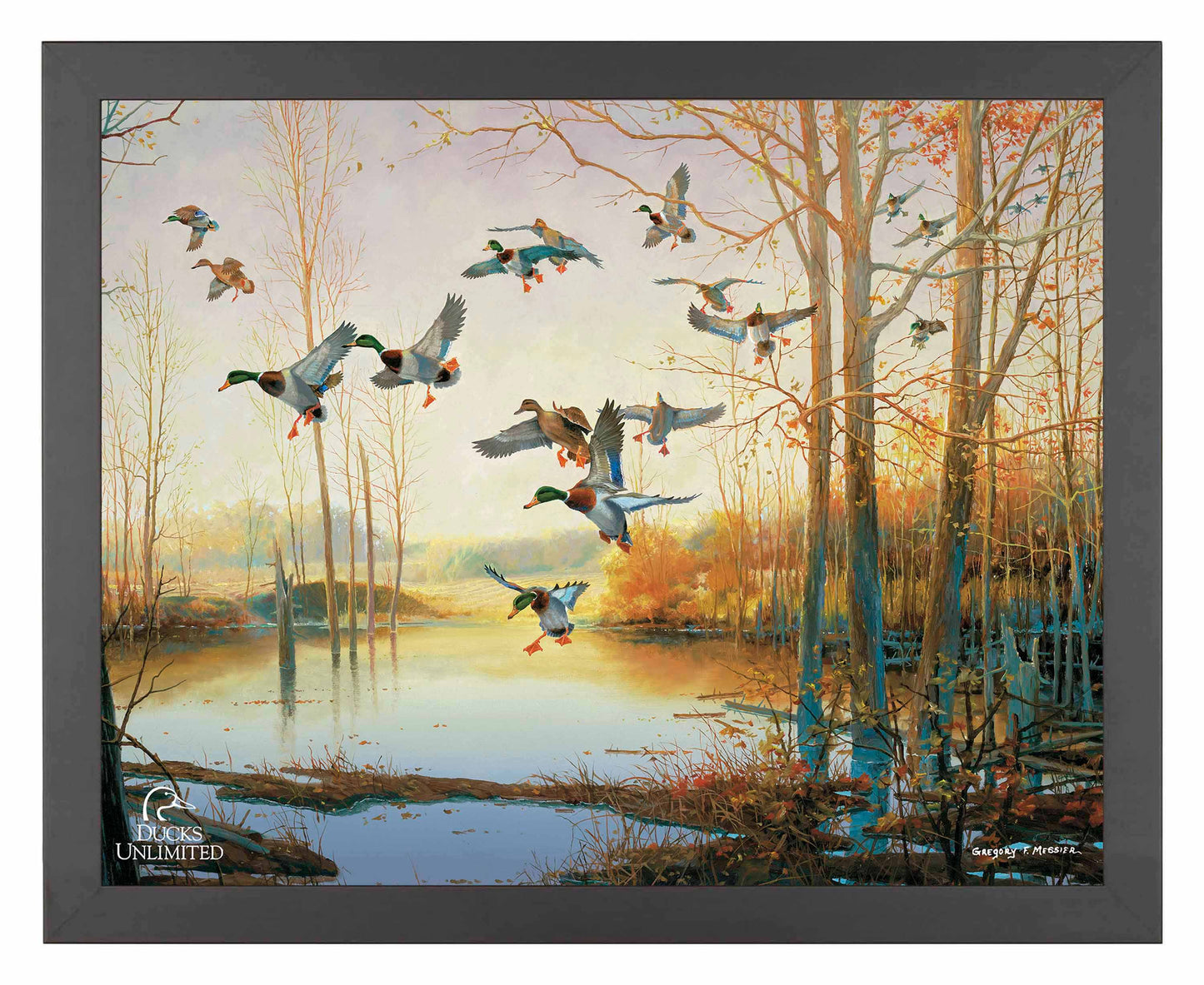 Graceful Descent Art Prints - Official Ducks Unlimited Art