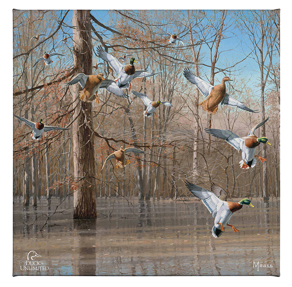 Green Timber Gallery Wrapped Canvas - Official Ducks Unlimited Art