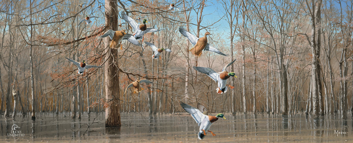 Green Timber 12" x 30" Wood Sign - Official Ducks Unlimited Art