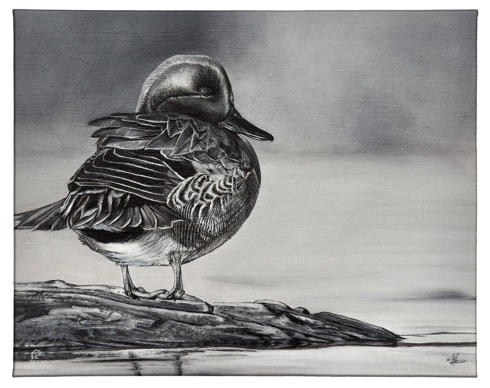 Green Winged Study Gallery Wrapped Canvas - Official Ducks Unlimited Art