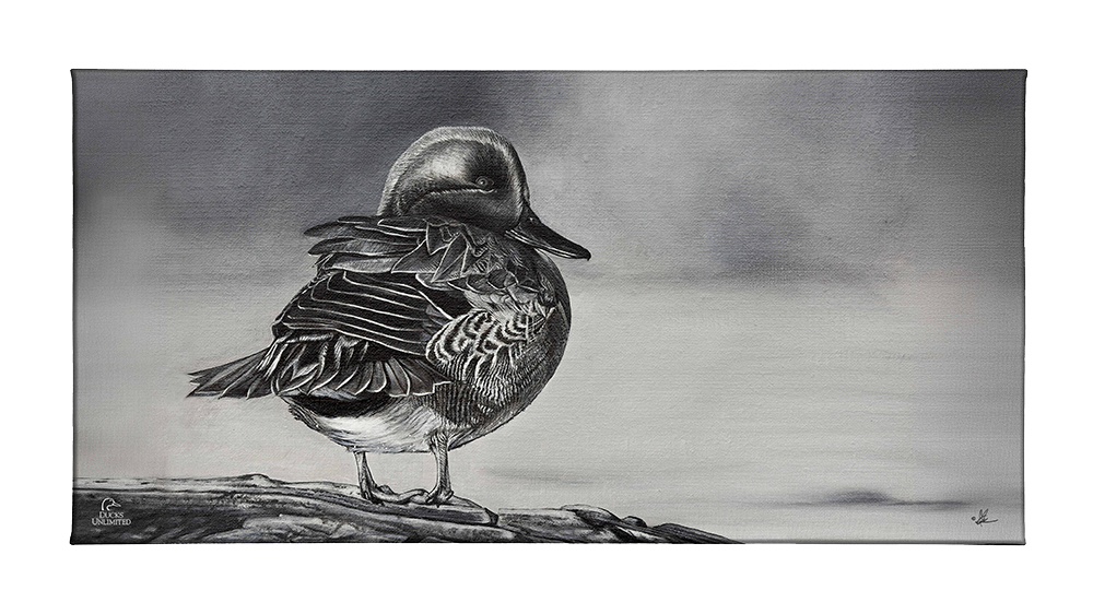 Green Winged Study Gallery Wrapped Canvas - Official Ducks Unlimited Art