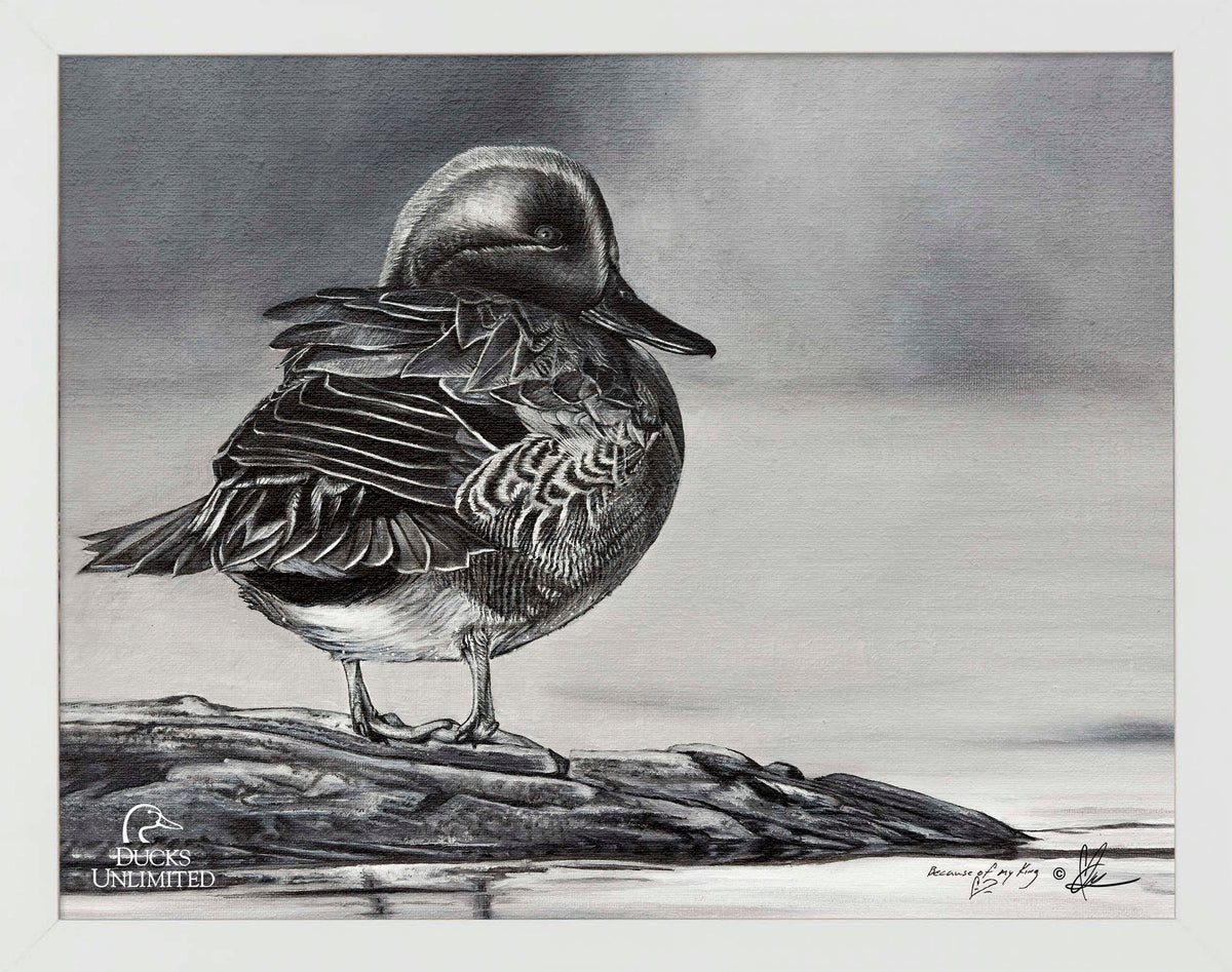 Green Winged Study Art Prints - Official Ducks Unlimited Art