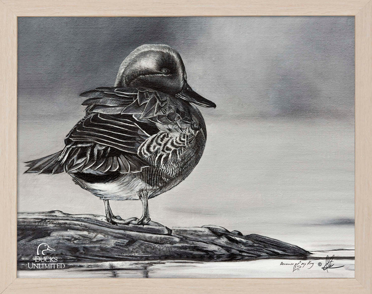 Green Winged Study Art Prints - Official Ducks Unlimited Art
