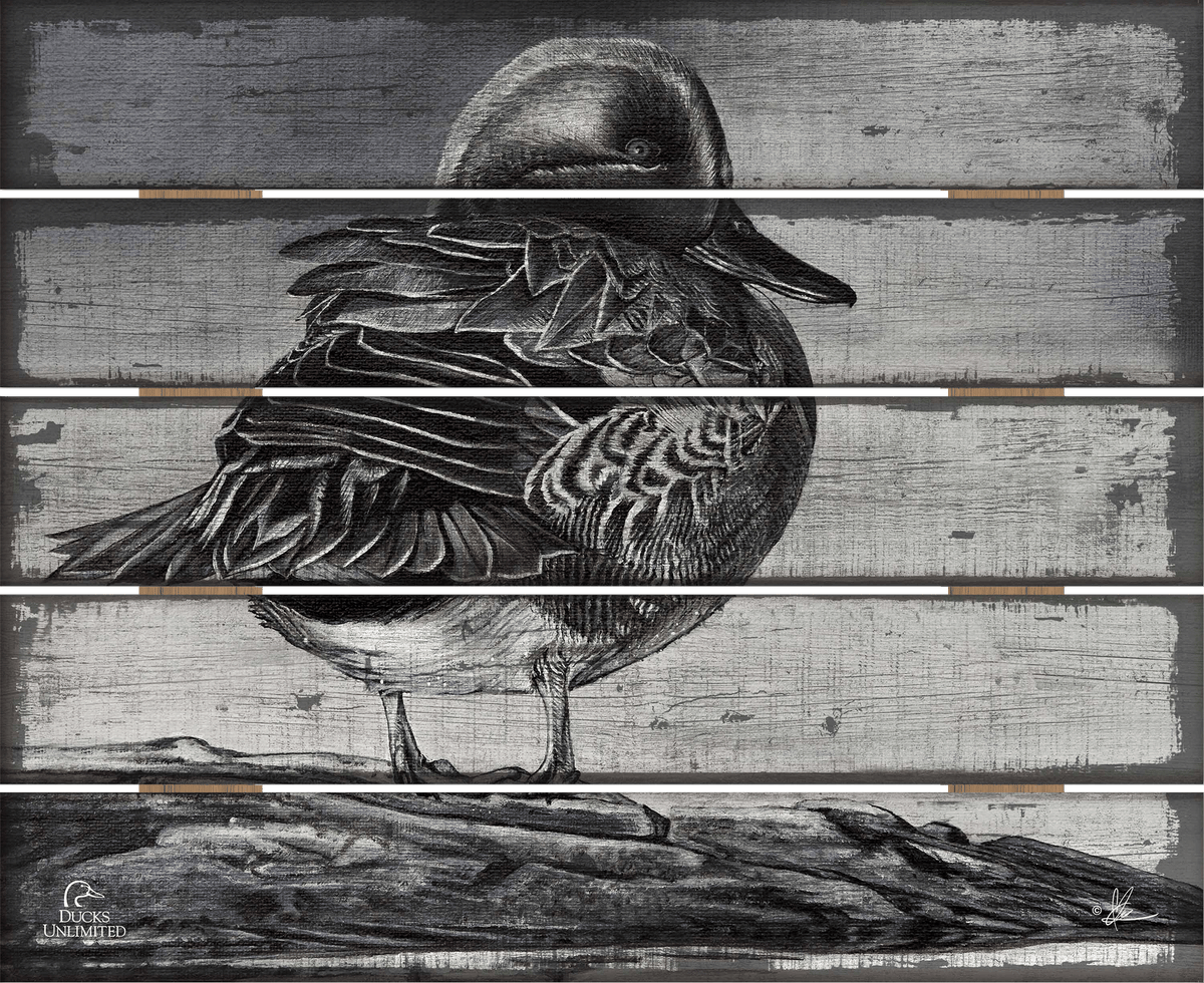 Green Winged Study 18" x 22" Pallet Wall Art - Official Ducks Unlimited Art