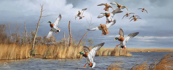 Greenhead Alert Mallards 12" x 30" Wood Sign - Official Ducks Unlimited Art